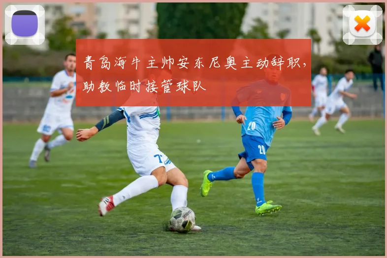 青岛海牛主帅安东尼奥主动辞职，助教临时接管球队